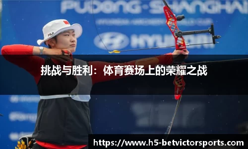 挑战与胜利：体育赛场上的荣耀之战